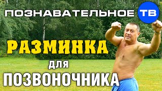 Разминка для позвоночника (Познавательное ТВ, Герман Тюхтин)