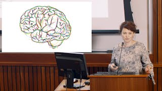 The Mouse as a Model: Development Dysfunction of Inhibition in a Genetic Model of Autism (7 of 10)