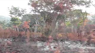 Sierra Leone Driving.mov