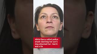 Woman Killed Dog With Samurai Sword As It Slept On Sofa