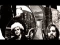 Insects Video preview