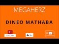 MegaHertz/Ntate Stunna - Dineo Mathaba(Lyrics Video)