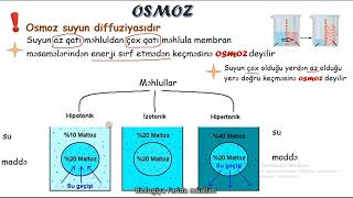 Biologiya.osmoz Ve Diffuziya