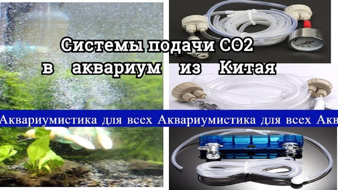 Как сделать систему подачи co2 в аквариуме Как сделать систему подачи co2 в аквариуме