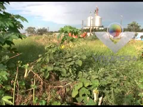 Administração pública de Araguari coloca a população em situação de risco