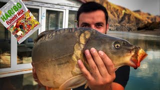 Jelibon İle Balık Avı Dev Sazan Yakaladık Fishing With Haribo