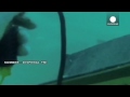 Underwater footage: Air Asia wreckage during search for cockpit voice recorder