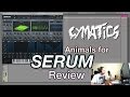 Cymatics Animals for Serum Review (+ 30 free presets!)