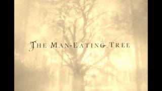 Watch Maneating Tree Instead Of Sand And Stone video