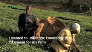 The Kamburu Story