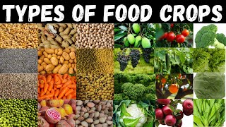 Types Of Food Crops Food Crops Food Crops For Kids