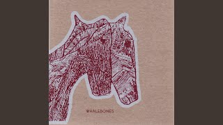 Watch Whalebones Dont You Know video