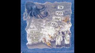 Watch Max Levine Ensemble Look Away video