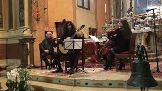 Antonio Vivaldi - Concerto for Guitar and Strings in D Major - II Movement