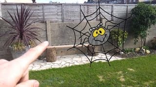 Cheeky Spider Makes Huge Web
