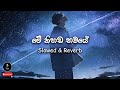 🎶 මේ නිහඩ භවයේ (මරණ මංචකේ දී හෝ) Me Nihanda Bhawaye  | Slowed & Reverb | @TSMusic