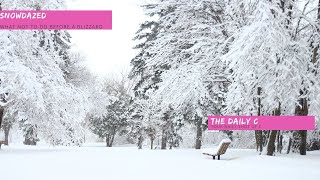 The Daily C - Snow Daze