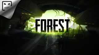 Forest  Обзорный Стрим