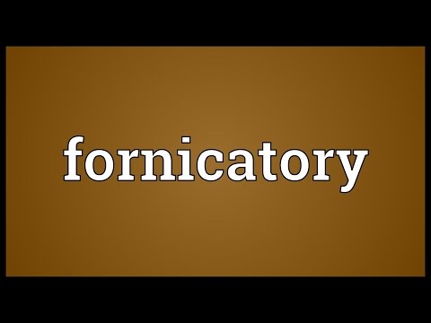 Header of fornicatory
