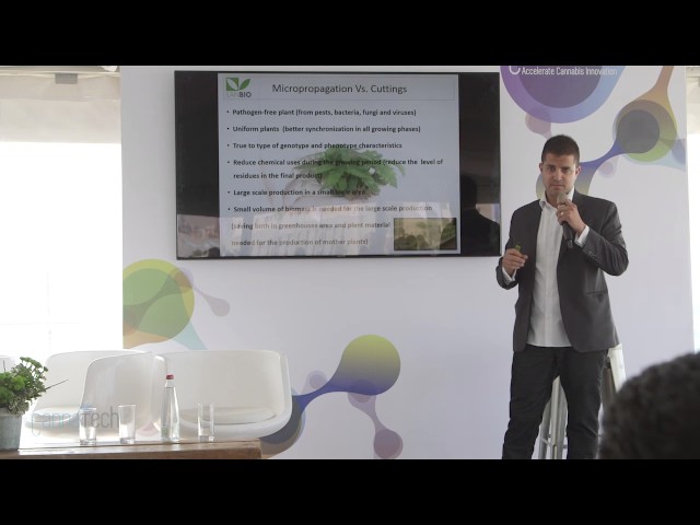 CannaTech 2017 - Tissue Culture and Consistency: Cannabis Medication