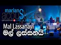 මල් ලස්සනයි - Mal Lassanayi (Cover ) | @marianssl  Acoustica Concert