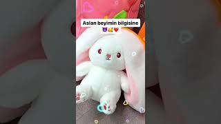 Hediye Aramaya Son Peluş Tavşan Lansmana Özel %50 İndirim Ve Sınırlı Stoklarla Türkiyede