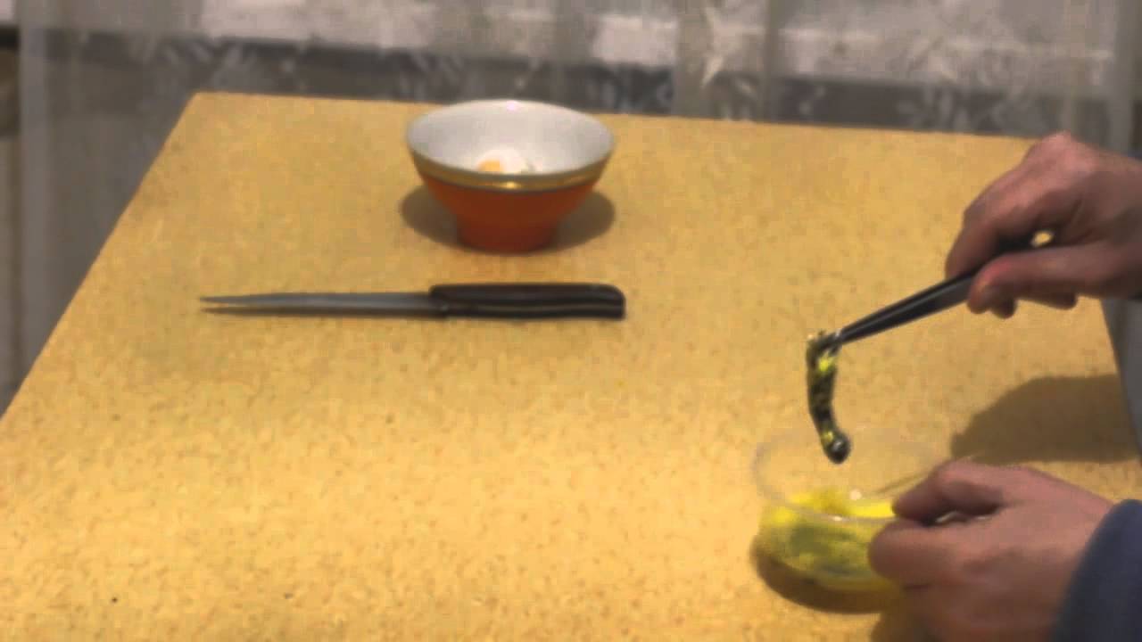 Как сделать гомункула в домашних условиях фото Как сделать гомункула в домашних условиях фото