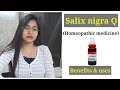 Salix nigra 30| Salix nigra 200|Salix nigra mother tincture homeopathic medicine benefits & uses