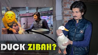 Duck Zibah Krwa De ?