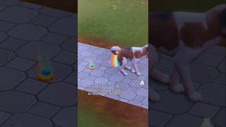3 Things You Didnt Know About Cats & Dogs In Sims