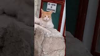 Yeter Çıldırıcam Tut Artıkkkkk