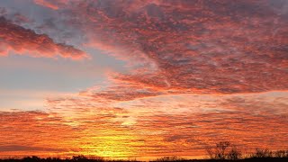Florida Sunrise - Mount Dora, Florida