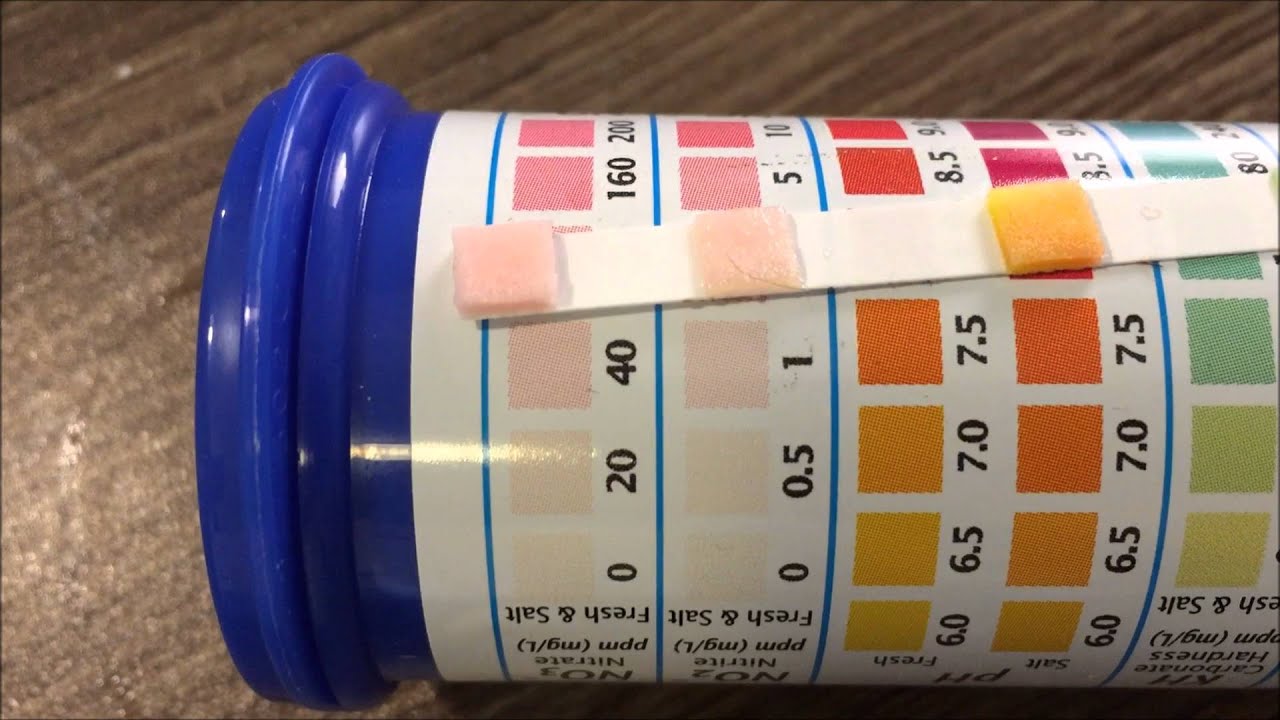 Ammonia test strip