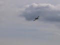 Crop Duster in Galion Ohio 8-5-13