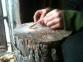 Make a Bone Needle 01 of 02