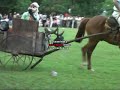 El abuelo y la abuela - youtube