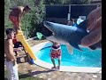 sesso in piscina con lo squalo Marco