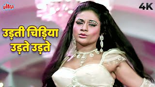 Aruna Irani Hot Cabret Song Udti Chidiya Udte Udte Phans Gai 4K Asha Bhosle Hum Shakal Song