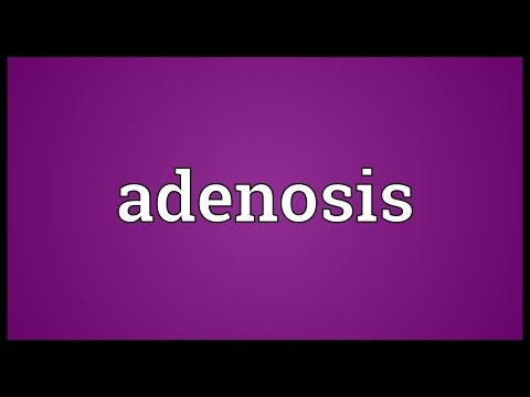 Header of Adenosis