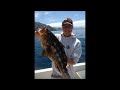 Knuckle Up Calico Bass Fishing from Catalina to San Clemente Island