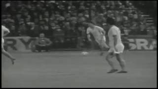 HLMWIYICYFQ Video Image