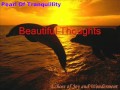 Pearl of Tranquillity - Echoes of Joy and Wonderment