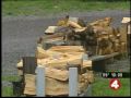 WNY forests rich with emerald ash borer