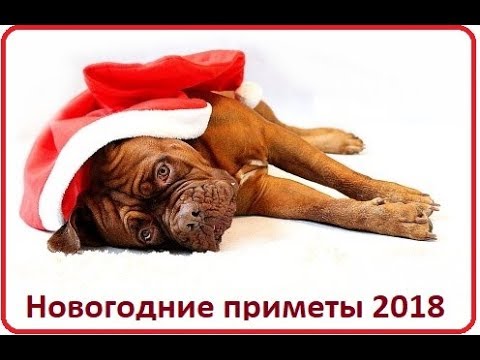 Как правильно встречать новый 2018 год Собаки? Как правильно встречать новый 2018 год Собаки?