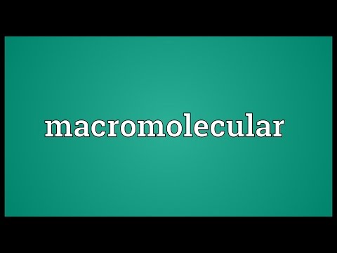 Header of macromolecular