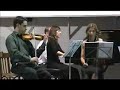 Numen, Cuarteto de Cuerdas - Elisa Schulthess-Schostakovich