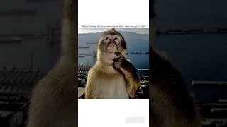 Monkey Thinking Food Is Free, Humans Are Dumb.