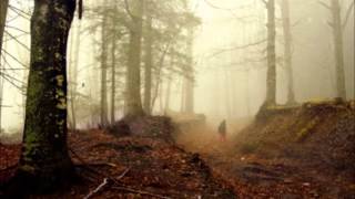 Watch Mount Eerie No Inside No Out video