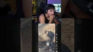 Aun No Te Perdono Big Chungus