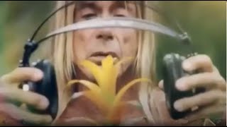 Watch Iggy Pop Everybodys Talkin video